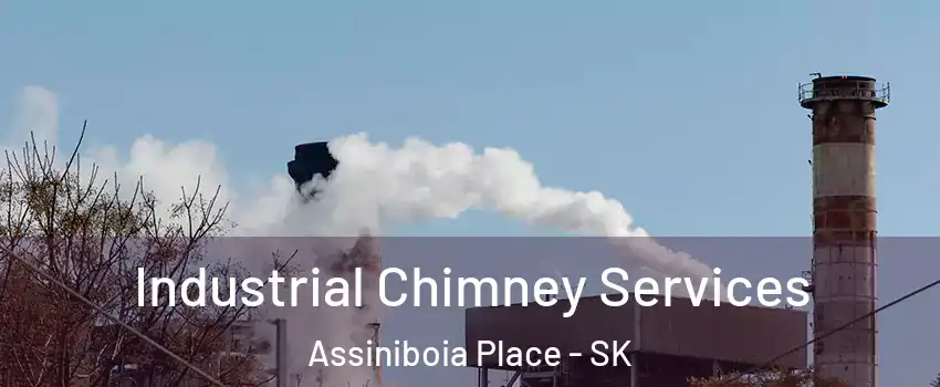  Industrial Chimney Services Assiniboia Place - SK