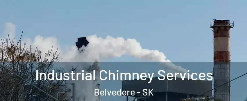  Industrial Chimney Services Belvedere - SK