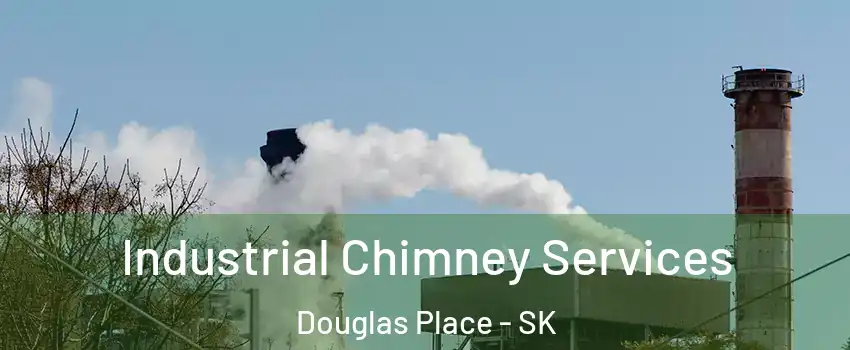  Industrial Chimney Services Douglas Place - SK