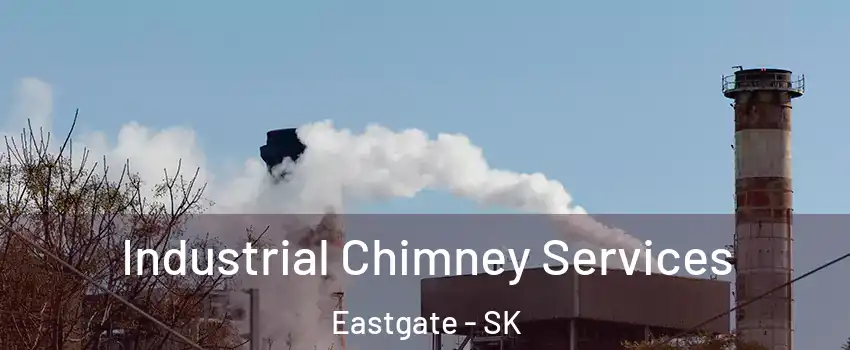  Industrial Chimney Services Eastgate - SK