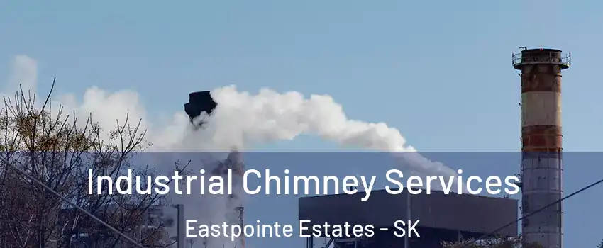  Industrial Chimney Services Eastpointe Estates - SK