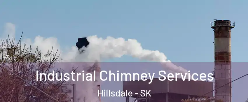  Industrial Chimney Services Hillsdale - SK