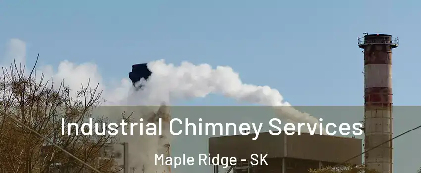  Industrial Chimney Services Maple Ridge - SK