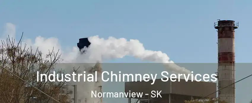  Industrial Chimney Services Normanview - SK