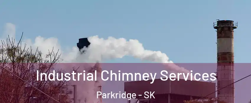  Industrial Chimney Services Parkridge - SK