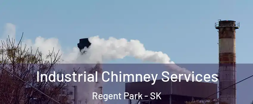  Industrial Chimney Services Regent Park - SK