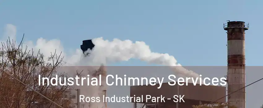  Industrial Chimney Services Ross Industrial Park - SK