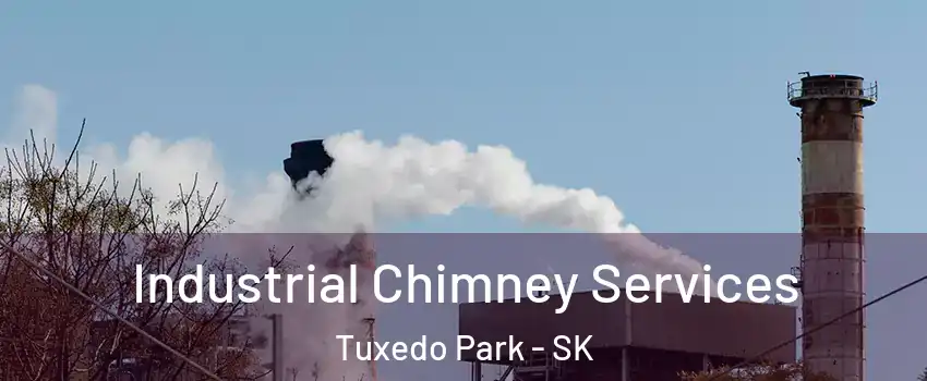  Industrial Chimney Services Tuxedo Park - SK
