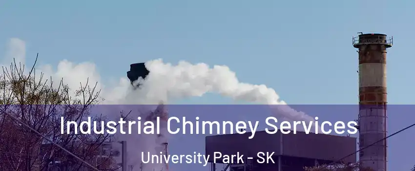  Industrial Chimney Services University Park - SK