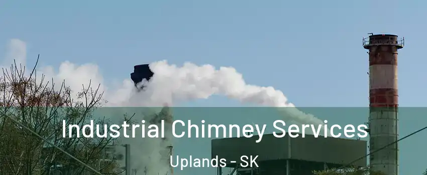 Industrial Chimney Services Uplands - SK