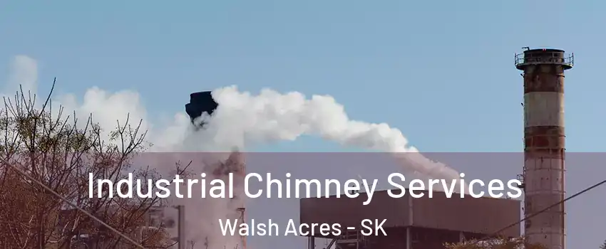  Industrial Chimney Services Walsh Acres - SK