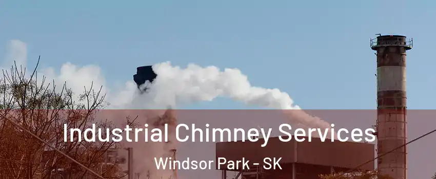  Industrial Chimney Services Windsor Park - SK