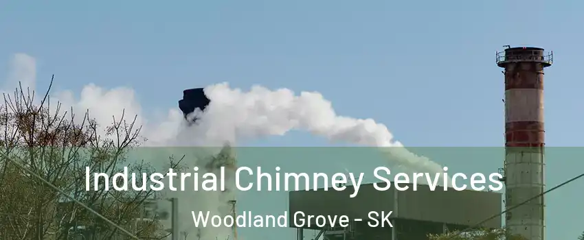  Industrial Chimney Services Woodland Grove - SK