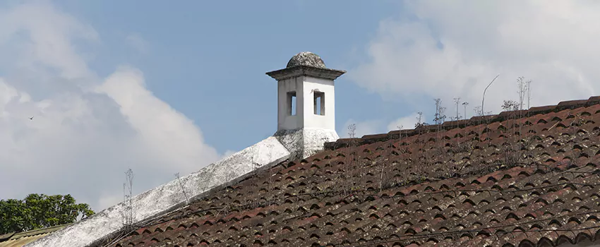 Wind-Resistant Chimney Caps Installation and Repair Services in Regina, Saskatchewan