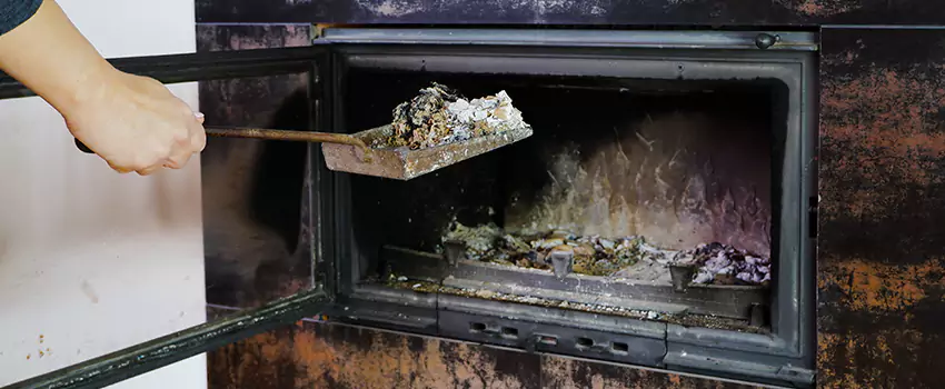 Wood Burning Chimney Odor Removal in Regina, Saskatchewan