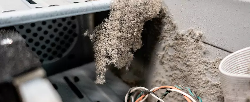 Clogged Dryer Vent Lint Cleaning in Regina, Saskatchewan
