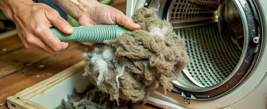 Best Dryer Lint Removal Company in Regina, Saskatchewan