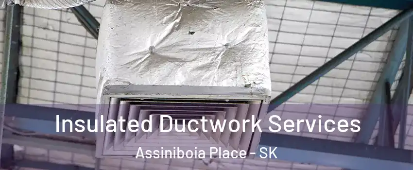  Insulated Ductwork Services Assiniboia Place - SK