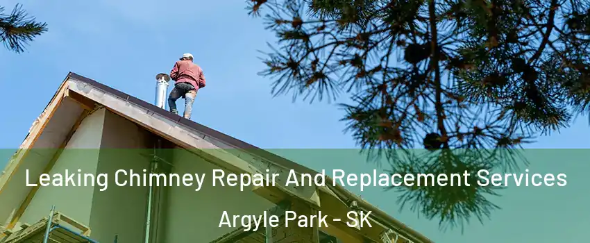  Leaking Chimney Repair And Replacement Services Argyle Park - SK