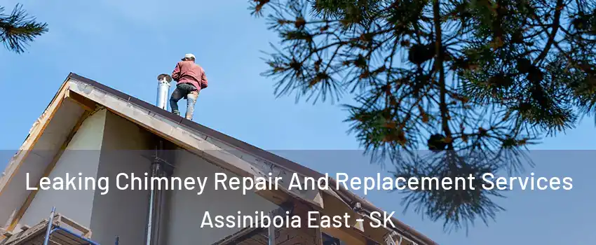  Leaking Chimney Repair And Replacement Services Assiniboia East - SK