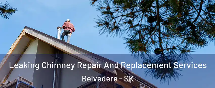  Leaking Chimney Repair And Replacement Services Belvedere - SK