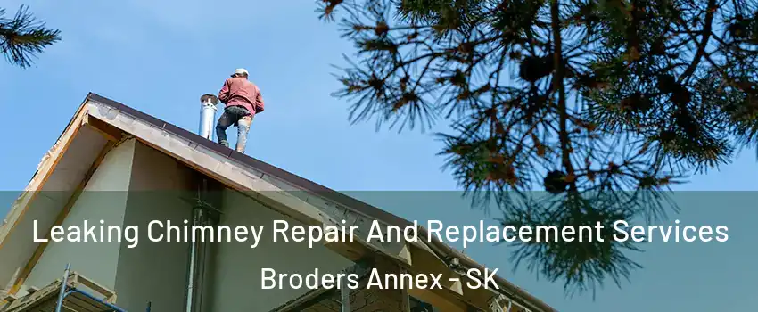  Leaking Chimney Repair And Replacement Services Broders Annex - SK