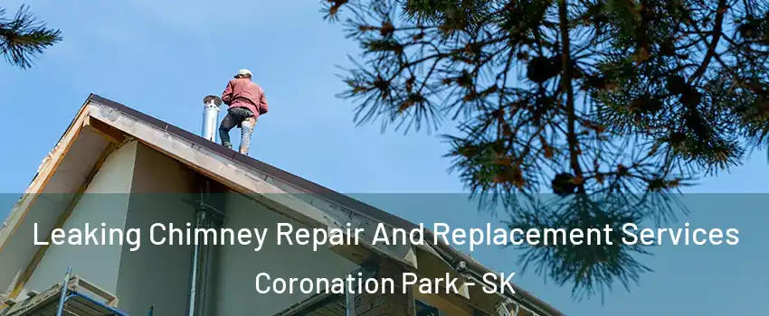  Leaking Chimney Repair And Replacement Services Coronation Park - SK