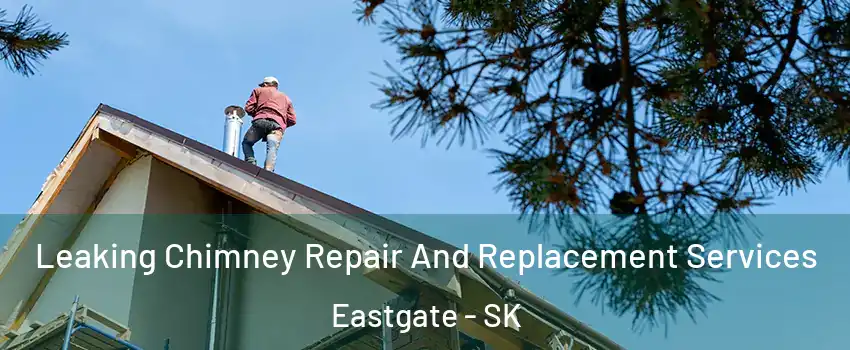  Leaking Chimney Repair And Replacement Services Eastgate - SK