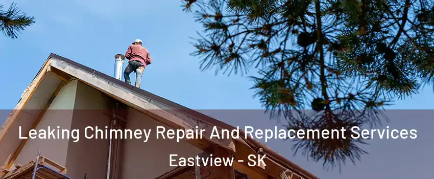  Leaking Chimney Repair And Replacement Services Eastview - SK