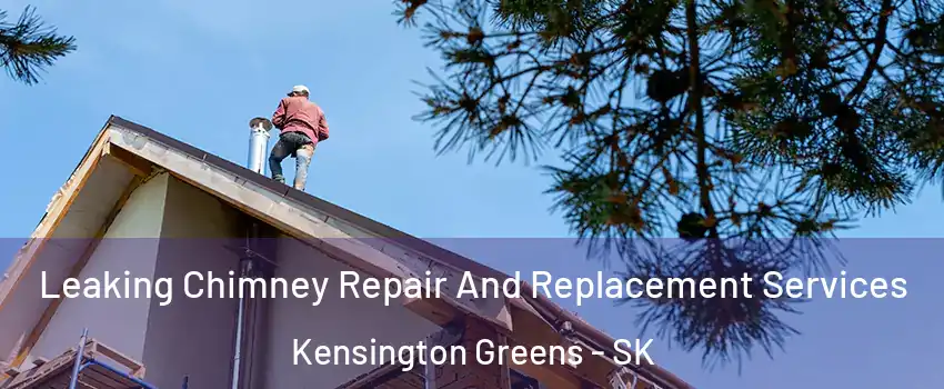  Leaking Chimney Repair And Replacement Services Kensington Greens - SK