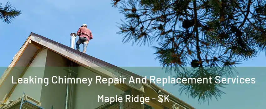  Leaking Chimney Repair And Replacement Services Maple Ridge - SK