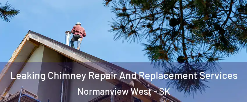  Leaking Chimney Repair And Replacement Services Normanview West - SK