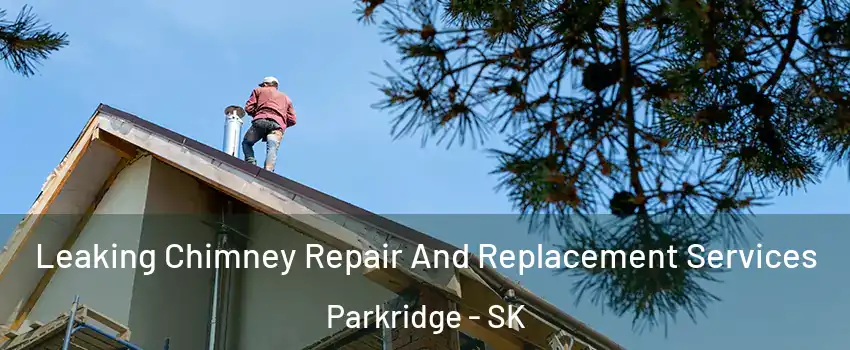  Leaking Chimney Repair And Replacement Services Parkridge - SK