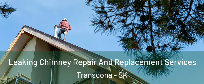  Leaking Chimney Repair And Replacement Services Transcona - SK