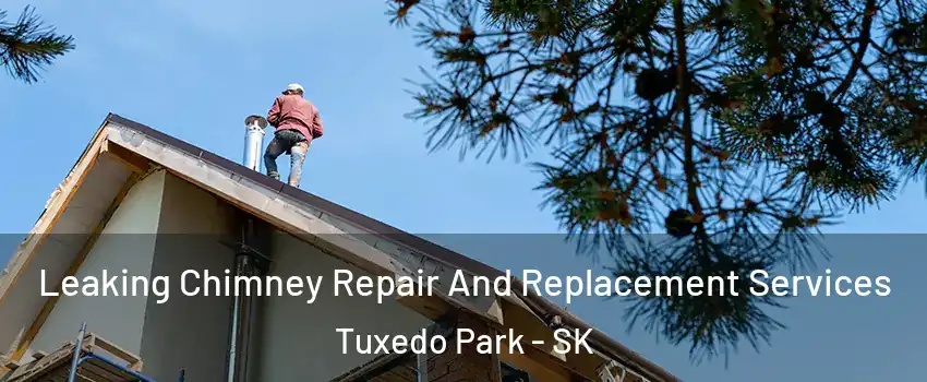  Leaking Chimney Repair And Replacement Services Tuxedo Park - SK