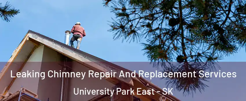  Leaking Chimney Repair And Replacement Services University Park East - SK