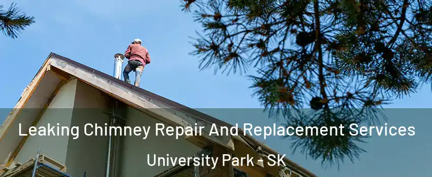  Leaking Chimney Repair And Replacement Services University Park - SK