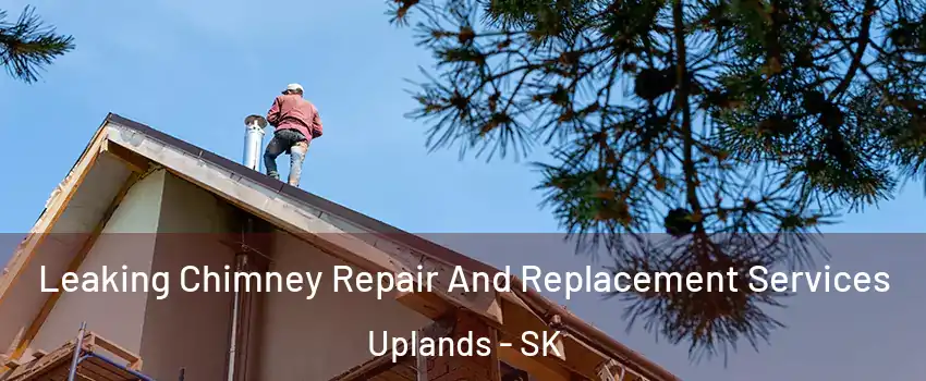  Leaking Chimney Repair And Replacement Services Uplands - SK