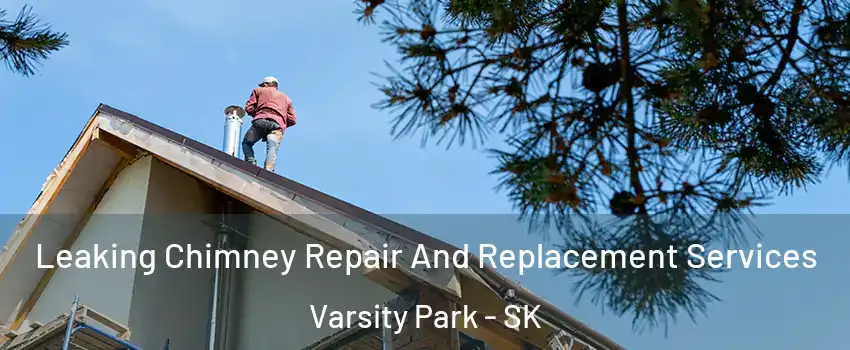  Leaking Chimney Repair And Replacement Services Varsity Park - SK