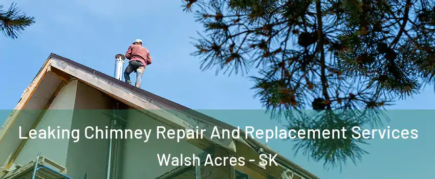  Leaking Chimney Repair And Replacement Services Walsh Acres - SK