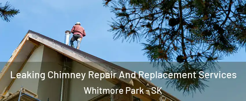  Leaking Chimney Repair And Replacement Services Whitmore Park - SK