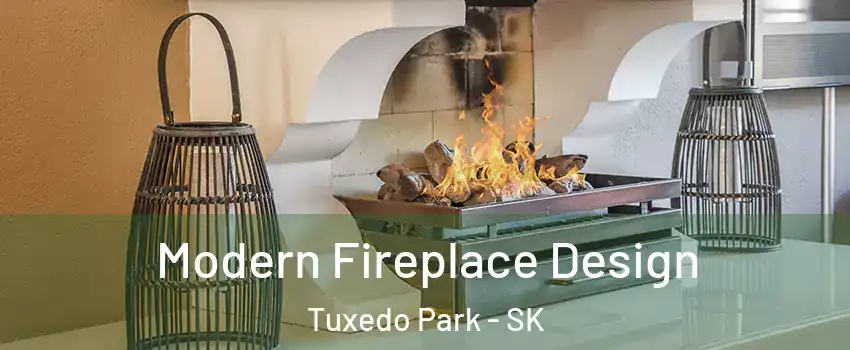  Modern Fireplace Design Tuxedo Park - SK