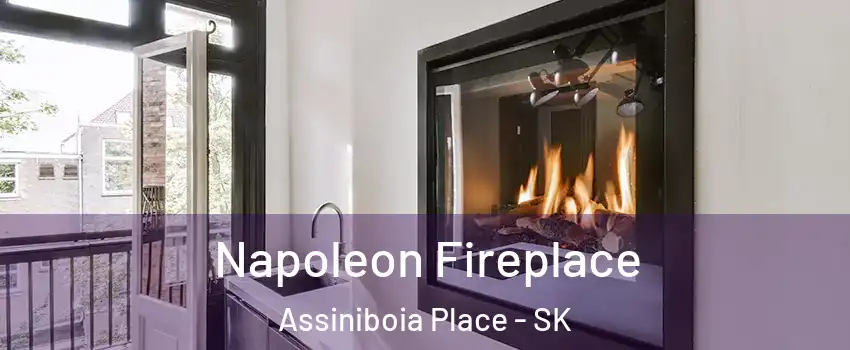  Napoleon Fireplace Assiniboia Place - SK