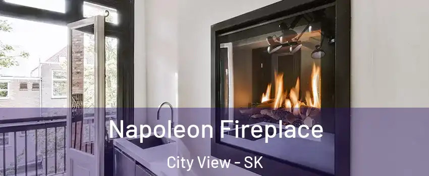  Napoleon Fireplace City View - SK