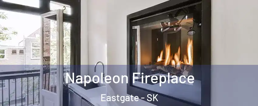  Napoleon Fireplace Eastgate - SK