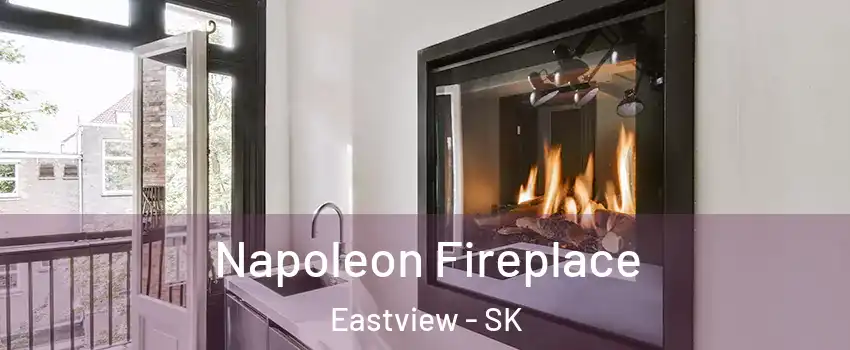  Napoleon Fireplace Eastview - SK