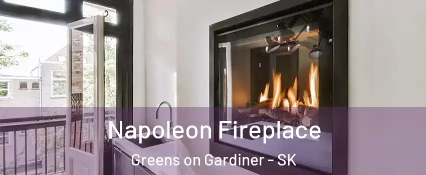  Napoleon Fireplace Greens on Gardiner - SK