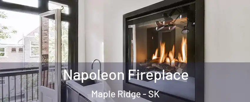  Napoleon Fireplace Maple Ridge - SK
