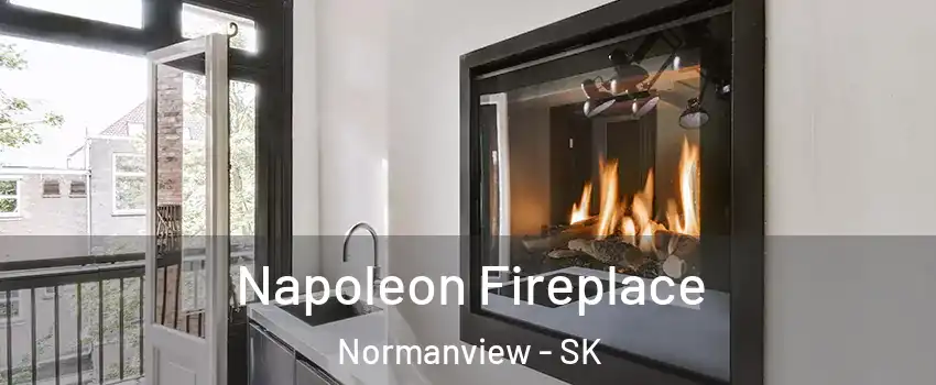  Napoleon Fireplace Normanview - SK