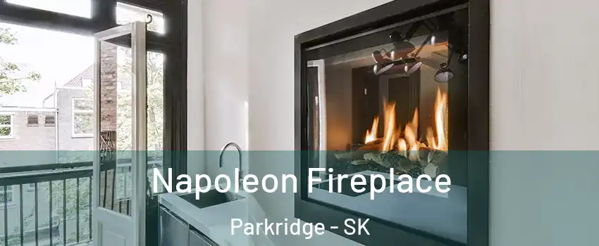  Napoleon Fireplace Parkridge - SK